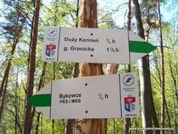 Rezerwat przyrody Polanki